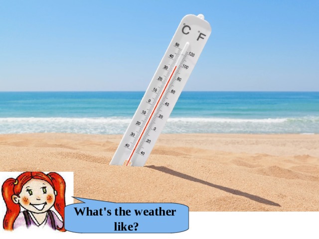 What's the weather like? 