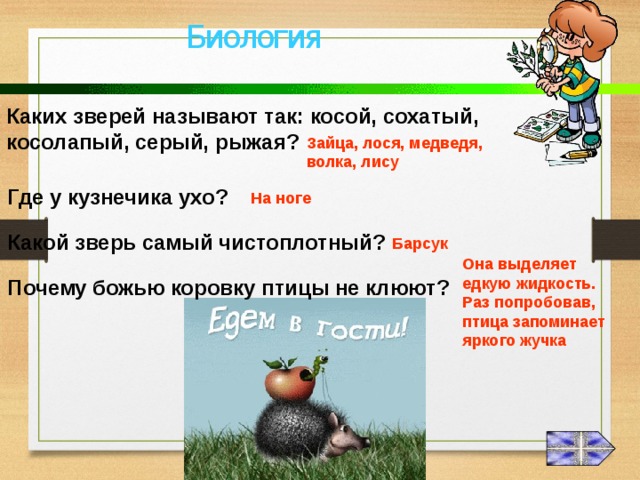 Биология Каких зверей называют так: косой, сохатый, косолапый, серый, рыжая? Зайца, лося, медведя, волка, лису Где у кузнечика ухо? На ноге Какой зверь самый чистоплотный? Барсук Она выделяет едкую жидкость. Раз попробовав, птица запоминает яркого жучка Почему божью коровку птицы не клюют? 