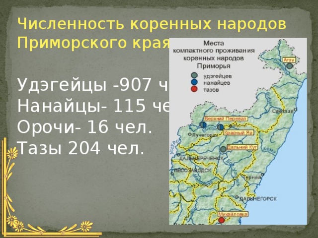 Численность коренных народов Приморского края: Удэгейцы -907 чел. Нанайцы- 115 чел. Орочи- 16 чел. Тазы 204 чел. 