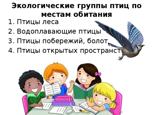 Экологические группы птиц по местам обитания Птицы леса Водоплавающие птицы Птицы побережий, болот Птицы открытых пространств 