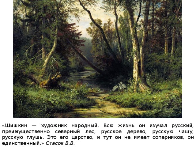 «Шишкин — художник народный. Всю жизнь он изучал русский, преимущественно северный лес, русское дерево, русскую чащу, русскую глушь. Это его царство, и тут он не имеет соперников, он единственный.»  Стасов В.В. «Лесной пейзаж с цаплями» 1870 