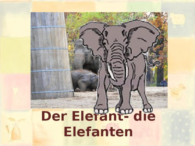 Der Elefant- die Elefanten 