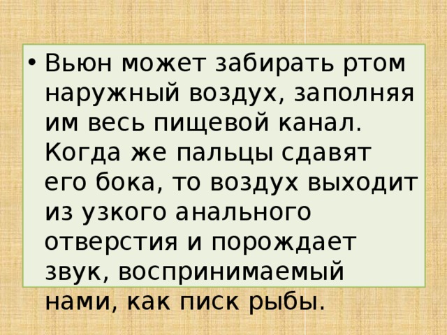 Вьюн может забирать ртом наружный воздух, заполняя им весь пищевой канал. Когда же пальцы сдавят его бока, то воздух выходит из узкого анального отверстия и порождает звук, воспринимаемый нами, как писк рыбы.