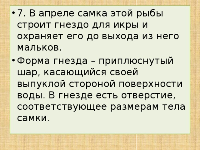 7. В апреле самка этой рыбы строит гнездо для икры и охраняет его до выхода из него мальков. Форма гнезда – приплюснутый шар, касающийся своей выпуклой стороной поверхности воды. В гнезде есть отверстие, соответствующее размерам тела самки.