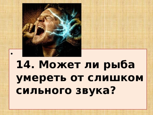 14. Может ли рыба умереть от слишком сильного звука?