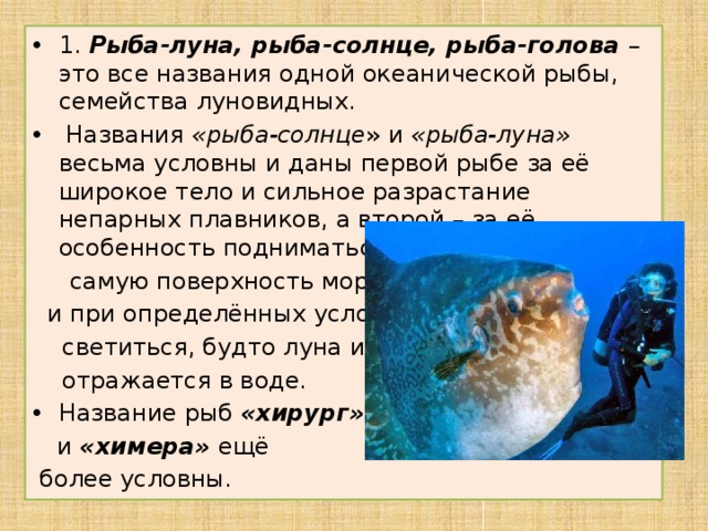 1. Рыба-луна, рыба-солнце, рыба-голова – это все названия одной океанической рыбы, семейства луновидных.  Названия «рыба-солнце » и «рыба-луна» весьма условны и даны первой рыбе за её широкое тело и сильное разрастание непарных плавников, а второй – за её особенность подниматься на  самую поверхность моря  и при определённых условиях  светиться, будто луна и  отражается в воде. Название рыб «хирург»