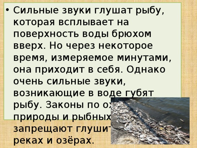 Сильные звуки глушат рыбу, которая всплывает на поверхность воды брюхом вверх. Но через некоторое время, измеряемое минутами, она приходит в себя. Однако очень сильные звуки, возникающие в воде губят рыбу. Законы по охране природы и рыбных богатств запрещают глушить рыбу в реках и озёрах.