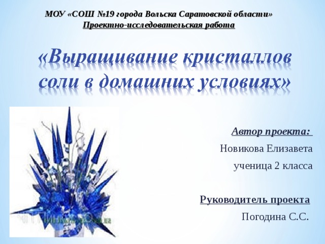 МОУ «СОШ №19 города Вольска Саратовской области» Проектно-исследовательская работа  Автор проекта:  Новикова Елизавета ученица 2 класса Руководитель проекта  Погодина С.С .