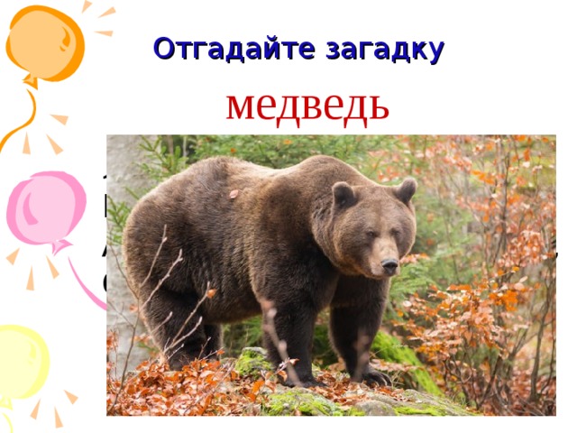 Отгадайте загадку медведь  Летом ходит без дороги  Возле сосен и берёз,  А зимой он спит в берлоге,  От мороза прячет нос. 
