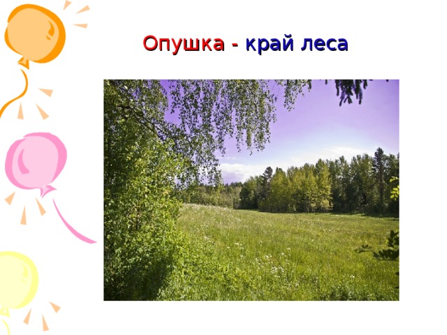 Опушка - край леса 