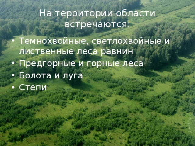 На территории области встречаются: Темнохвойные, светлохвойные и лиственные леса равнин Предгорные и горные леса Болота и луга Степи 