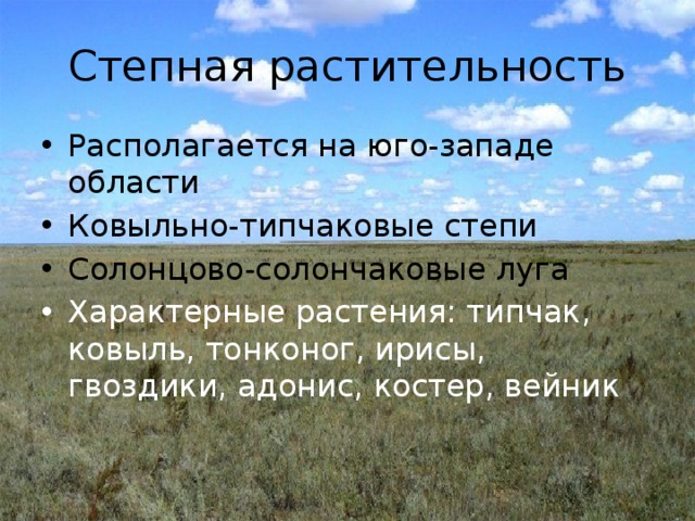 Степная растительность Располагается на юго-западе области Ковыльно-типчаковые степи Солонцово-солончаковые луга Характерные растения: типчак, ковыль, тонконог, ирисы, гвоздики, адонис, костер, вейник 