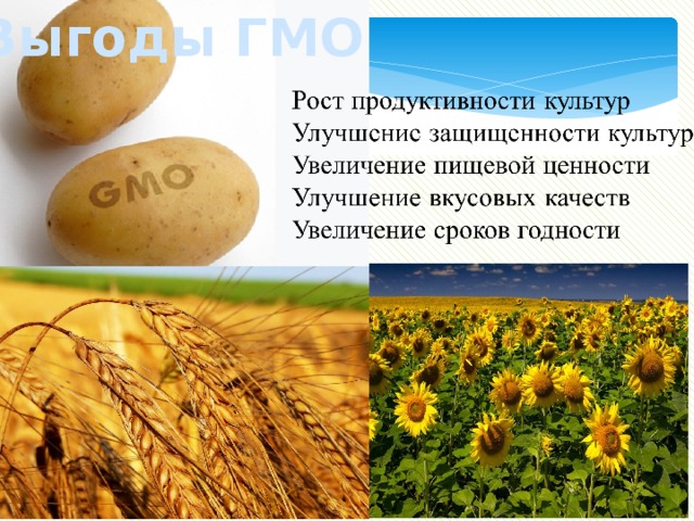 Выгоды ГМО 