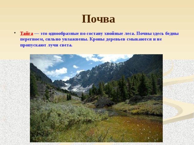 Почва здесь. В тайге почвы бедны перегноем сильно увлажнены. Почвы здесь бедны покрыты перегноем. Почвы в тайге сильно увлажнены. Почвы здесь бедны покрыты перегноем сильно увлажнены.