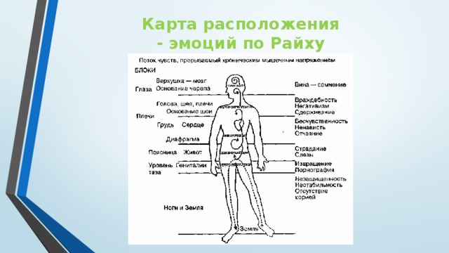 Эмоции живут в теле