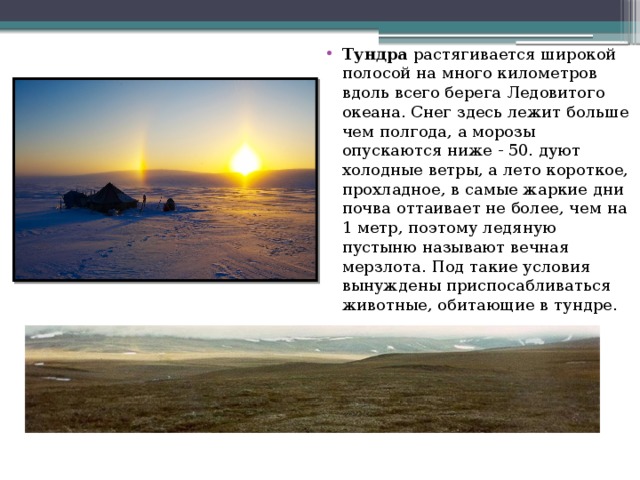 Тундра  растягивается широкой полосой на много километров вдоль всего берега Ледовитого океана. Снег здесь лежит больше чем полгода, а морозы опускаются ниже - 50. дуют холодные ветры, а лето короткое, прохладное, в самые жаркие дни почва оттаивает не более, чем на 1 метр, поэтому ледяную пустыню называют вечная мерзлота. Под такие условия вынуждены приспосабливаться животные, обитающие в тундре. 
