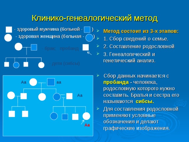 Метод изучения генетики основанный на анализе родословной. Клинико-генеалогический метод изучения наследственности. Клинико-генеалогический метод изучения наследственности человека. Клинико генеалогический метод родословная. Клинико-генеалогискийметод.