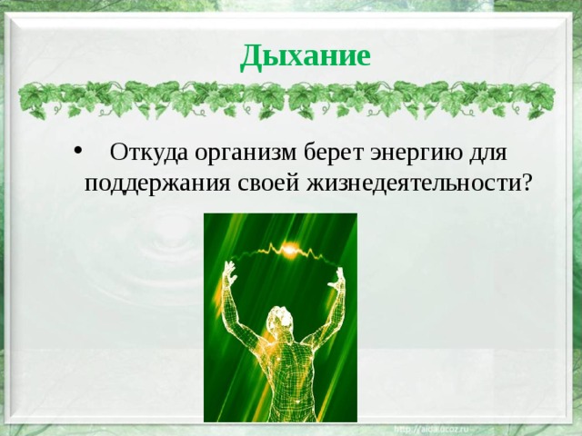 Организм человека получает энергию в процессе. Откуда берется энергия. Откуда берут энергию живые организмы. Откуда берется энергия в организме человека. Откуда берется энергия в клетке.