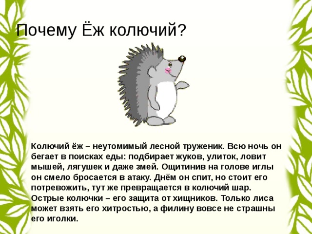 Ежик самое безобидное существо проект 2 класс