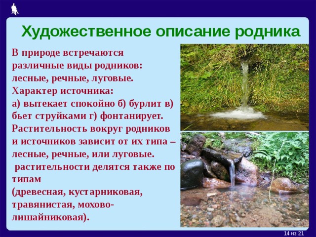 Художественное описание родника В природе встречаются различные виды родников: лесные, речные, луговые. Характер источника: а) вытекает спокойно б) бурлит в) бьет струйками г) фонтанирует. Растительность вокруг родников и источников зависит от их типа – лесные, речные, или луговые.  растительности делятся также по типам (древесная, кустарниковая, травянистая, мохово-лишайниковая).  из 21  