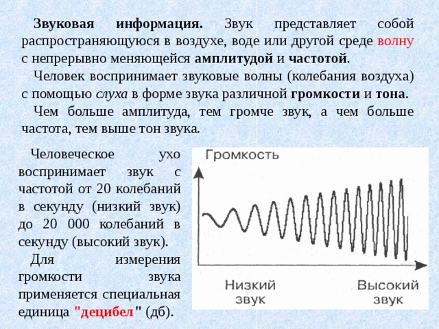 Звуковая информация. Звук представляет собой распространяющуюся в воздухе, воде или другой среде волну с непрерывно меняющейся амплитудой и частотой . Человек воспринимает звуковые волны (колебания воздуха) с помощью слуха в форме звука различной громкости и тона . Чем больше амплитуда, тем громче звук, а чем больше частота, тем выше тон звука. Человеческое ухо воспринимает звук с частотой от 20 колебаний в секунду (низкий звук) до 20 000 колебаний в секунду (высокий звук). Для измерения громкости звука применяется специальная единица 