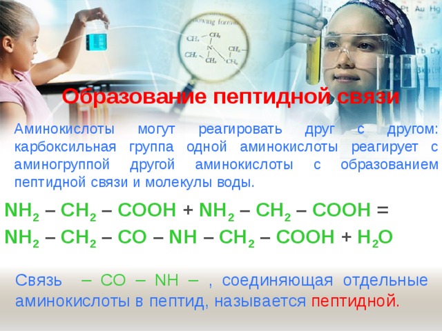 Образование пептидной связи   Аминокислоты могут реагировать друг с другом: карбоксильная группа одной аминокислоты реагирует с аминогруппой другой аминокислоты с образованием пептидной связи и молекулы воды. NH 2 – CH 2 – COOH + NH 2 – CH 2 – COOH = NH 2 – CH 2 – CO – NH – CH 2 – COOH + H 2 O Связь  – CO – NH – , соединяющая отдельные аминокислоты в пептид, называется пептидной. 