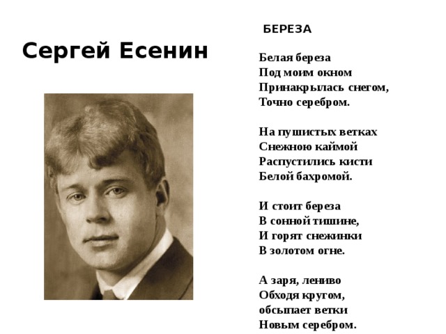 Белая береза под моим стих текст. Стих берёза Сергей Есенин. Сергей Есенин белая береза текст. Сергей Александрович Есенин стих белая берёза. Стих берёза Сергей Есенин текст.