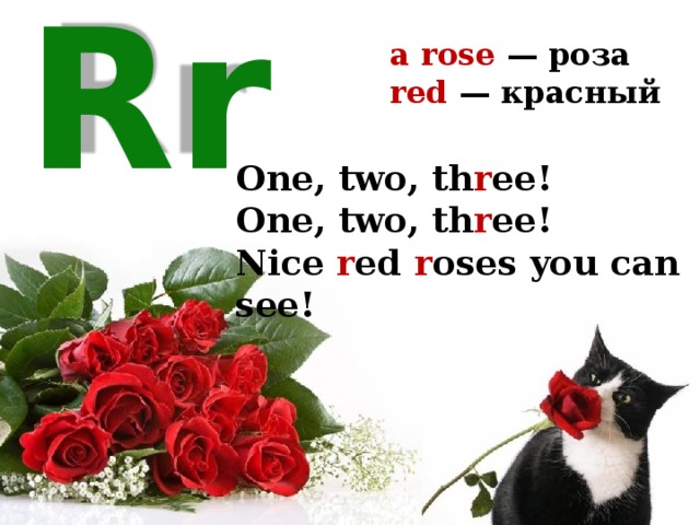 a rose — роза red — красный  Rr One, two, th r ee! One, two, th r ee! Nice r ed r oses you can see! 