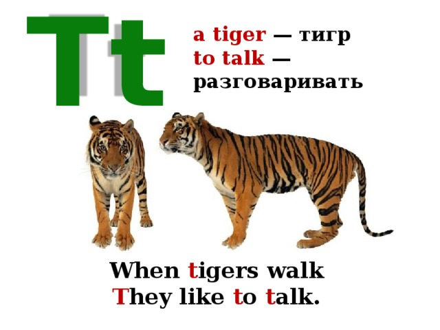 a tiger — тигр  to talk — разговаривать Tt When t igers walk T hey like t o t alk. 
