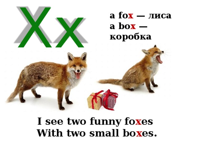 a fo x — лиса a bo x — коробка  Xx I see two funny fo x es With two small bo x es. 
