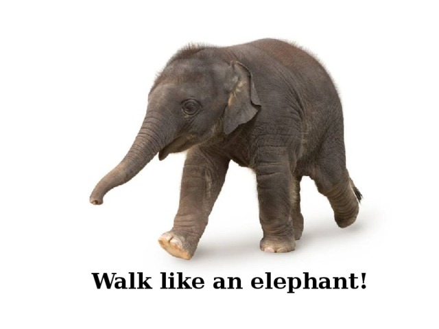 Walk like an elephant! 