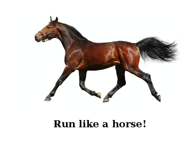 Run like a horse! 
