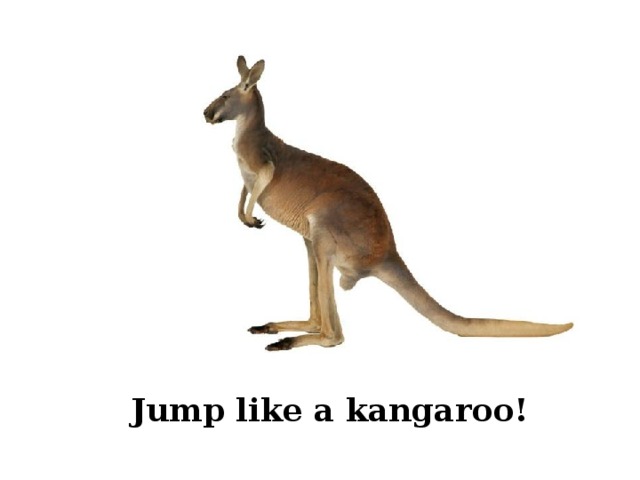 Jump like a kangaroo! 