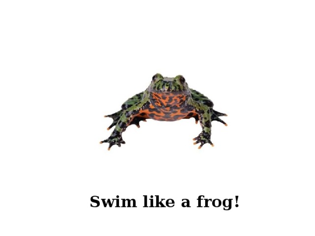 Swim like a frog! 