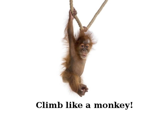 Climb like a monkey! 