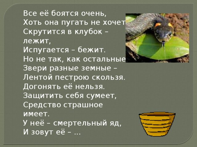 Все её боятся очень,  Хоть она пугать не хочет.  Скрутится в клубок – лежит,  Испугается – бежит.  Но не так, как остальные,  Звери разные земные –  Лентой пестрою скользя.  Догонять её нельзя.  Защитить себя сумеет,  Средство страшное имеет.  У неё – смертельный яд,  И зовут её – ... 