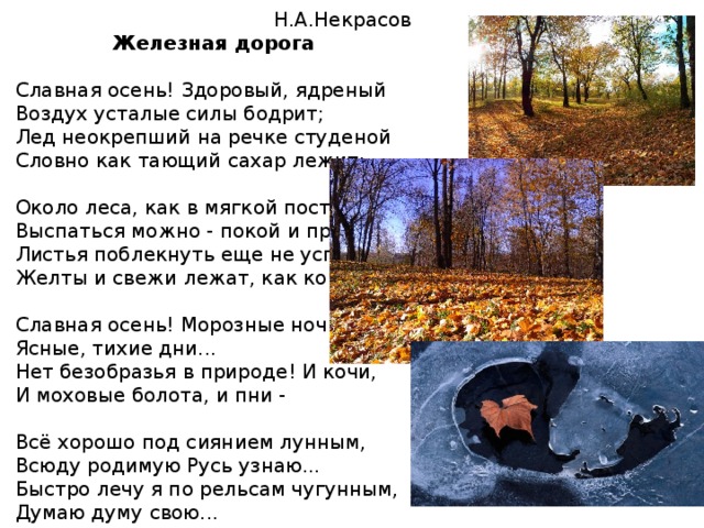 Славная здоровый ядреный