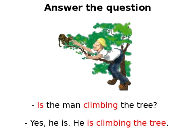 Answer the question - Is the man climbing the tree? - Yes, he is. He is  climbing the tree . 