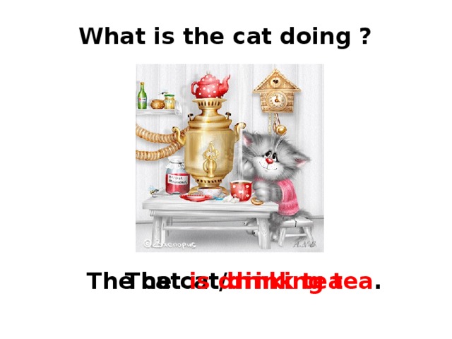 What is the cat doing ? The  cat/ drink  tea The  cat is  drinking tea . 