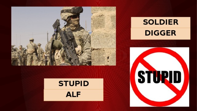 SOLDIER DIGGER STUPID PERSON ALF 