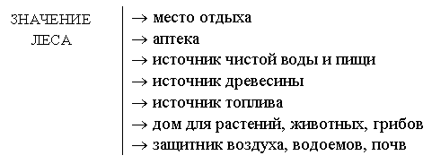 Составьте схему значение леса