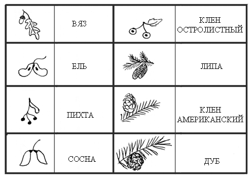 Поурочный план по окружающему миру 4 класс