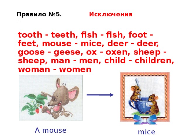 С английского на русский язык mice. Mouse Mice правило. Mouse Mice множественное число. Mouse Mice исключения. Mice транскрипция.