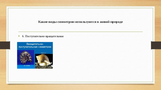 Какие виды симметрии используются в живой природе 6. Поступательно-вращательная 