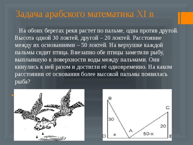 На обоих изображениях. На обоих берегах реки растет по Пальме одна против другой. На обоих берегах реки. Старинная арабская задача на противоположных берегах реки. Задача арабского математика XI В на обоих.