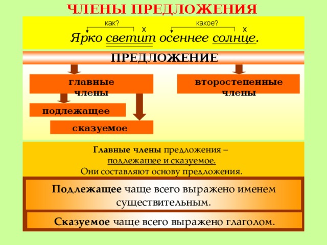 ЧЛЕНЫ ПРЕДЛОЖЕНИЯ как? какое? х х Ярко светит осеннее солнце. ПРЕДЛОЖЕНИЕ второстепенные члены главные члены подлежащее сказуемое Главные члены предложения – подлежащее и сказуемое. Они составляют основу предложения. Подлежащее чаще всего выражено именем существительным. Сказуемое чаще всего выражено глаголом.  