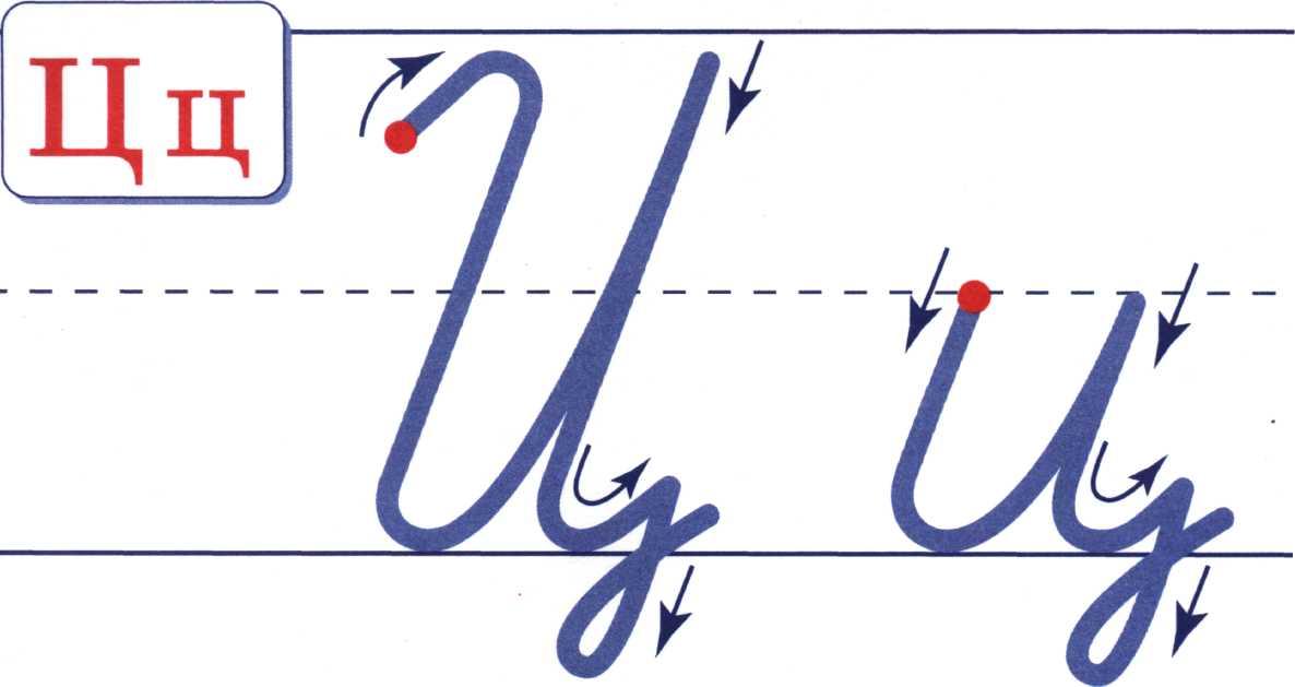 Конспект урока письмо заглавной. Написание строчной буквы ц. Буква ц письменная. Буква ц прописная. Буква ц письменная и печатная.