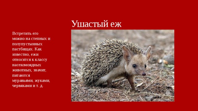 Животные ставропольского края фото и описание