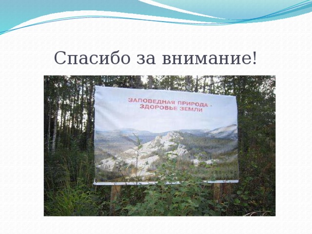 Заповедник на урале название. Южно-Уральский заповедник. Южноуральский заповедник.