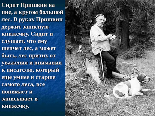 С идит Пришвин на пне, а кругом большой лес. В руках Пришвин держит записную книжечку. Сидит и слушает, что ему шепчет лес, а может быть, лес притих от уважения и внимания к писателю , который еще умнее и старше самого леса, все понимает и записывает в книжечку.